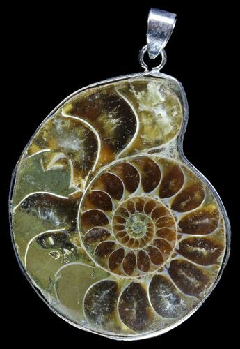Fossil Ammonite Pendant - Million Years Old #89844